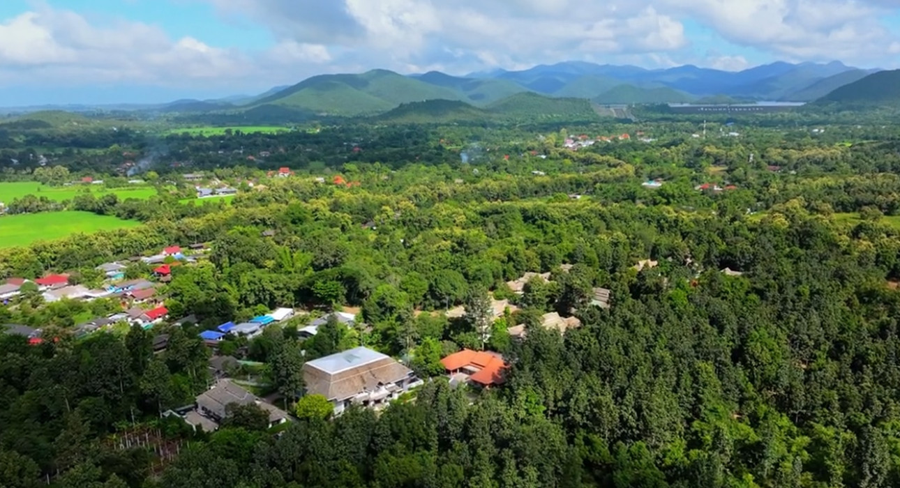 vivobene chiang mai